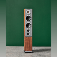 Audiovector R 6 variant 13