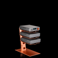 Burson Audio Timekeeper GT4 variant 5