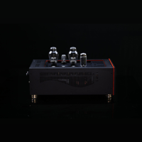 SW1x MPA V “Atlas” PP Mono Power Amplifier variant 3