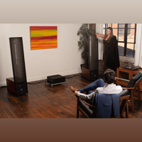MartinLogan Expression  ESL 13A variant 44