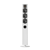 Piega usa Ace 50 Floorstanding Speakers [Pair] variant 16