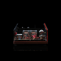 SW1x VDT V Valve Digital Transport Player & Music Streamer variant 6