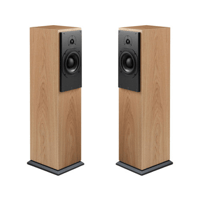 ATC - USA ATC SCM20ASLT Active Tower Speakers, Pair variant 5