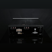 SW1x AMP I “Genie” Integrated Amplifier variant 3