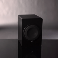 Hsu Research CCB-8 Speaker variant 2