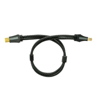 Pangea Audio Pangea Audio Premier XL MKII USB Cable variant 6