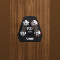 MartinLogan Motion F20 variant 39