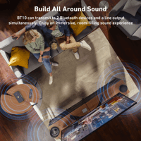 Arylic BT10 Bluetooth Audio Transmitter variant 6