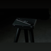 Buchardt Audio Platin Surround Hub variant 5