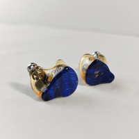 Hisenior Mega5-EST Custom Design(ST13+FW09) variant 3