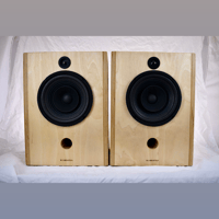Blumenstein Audio Triton 8" Monitors variant 1