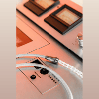 Dunu DK3001BD variant 6