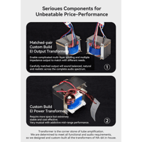 Cayin HA-6A variant 13
