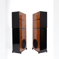 Audience Bellare variant 4