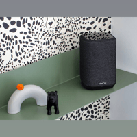 Denon Denon Home 150 variant 8