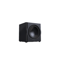 Perlisten R18s variant 3