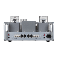 Allnic/ZL Technologies HPA-300B variant 5