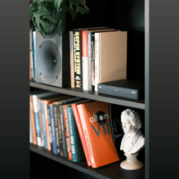 Buchardt Audio Platin Surround Hub variant 3