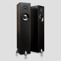 Totem Acoustic Forest variant 1