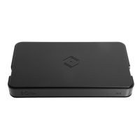 Silent Angel Bonn NX variant 2