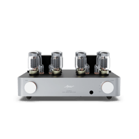 Fezz Audio Olympia Dual Mono Amplifier variant 26