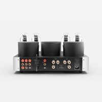 Fezz Audio Lybra 300B variant 12