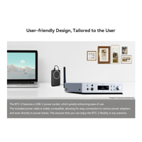 Cayin BTC-2 variant 12