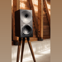 Buchardt Audio Anniversary 10 variant 35