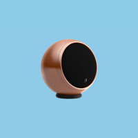 Gallo Acoustics Micro variant 13