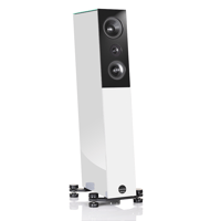 Audio Physic Avantera (with RECOTec tweeter and midrange) variant 4