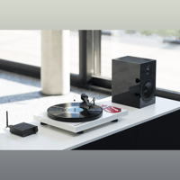 Pro-ject Audio Systems - USA Rolling Stones Recordplayer variant 5
