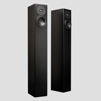 Totem Acoustic Arro variant 2