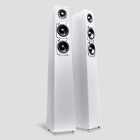 Totem Acoustic Tribe Tower variant 4