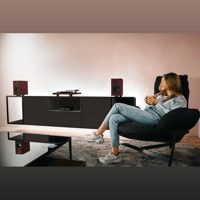 Pro-Ject Audio Systems Colourful Audio System 2 variant 2