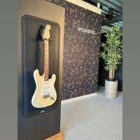 Vicoustic VicDisplay Guitar variant 6