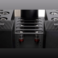 Mastersound PF 200 litz (coppia) variant 12