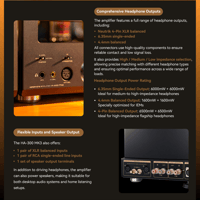 Cayin HA-300 MK3 variant 8