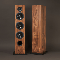 Xavian Torretta variant 5