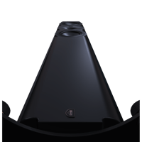 Perlisten R5t variant 2