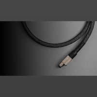 Axxess Axxess Ethernet Cable variant 3