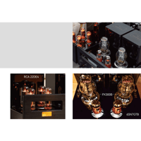 Cayin HA-300MK2 variant 5