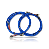 Voxativ AMPEGGIO Cables variant 2