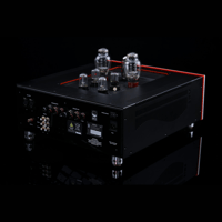 SW1x AMP V “Jupiter” Integrated Amplifier variant 4