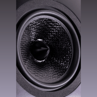 Davis Acoustics Renoir Evolution variant 13