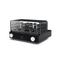 Fezz Audio Olympia Dual Mono Amplifier variant 17