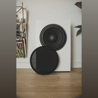 Buchardt Audio SUB10 variant 6