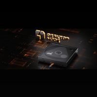 FiiO DM15 R2R variant 14
