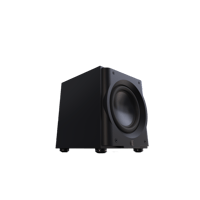 Perlisten R10s variant 3