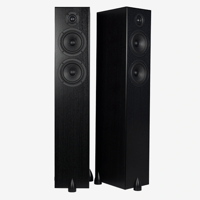 Totem Acoustic Bison Twin Tower variant 6