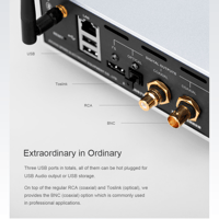 Cayin iDAP-6 variant 6